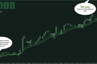 Easy Forex Robot
