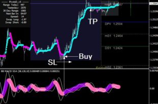 Forexpro Nitro system