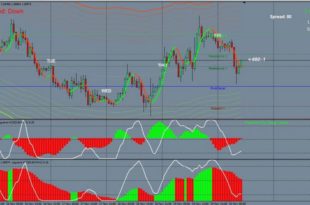 Swing trading Systsem