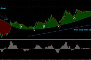 Best forex trading strategy indicator