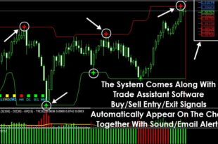 Forex tsd system