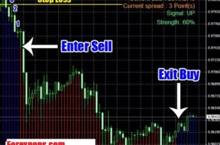 Forex wall street forex system