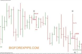 Price Action indicator