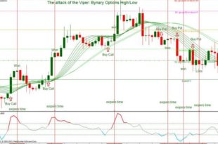Viper binary option