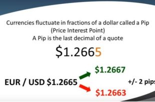 What is a pip