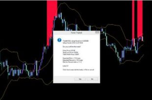 forex best system