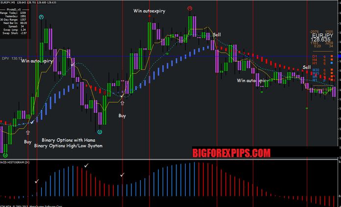 binary options strategy free download