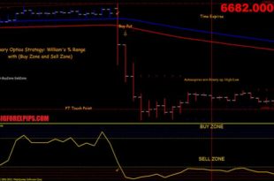 William's Percent Range with Buy Zone