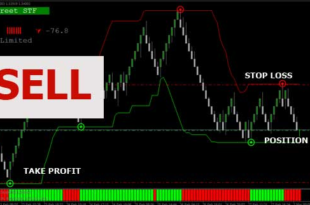 Renko street trading system