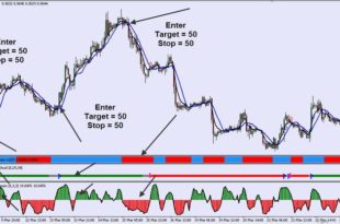 forex guru strategies