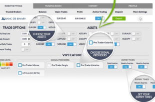 Binary options robot results