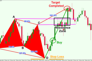Harmonic butterfly chart pattern