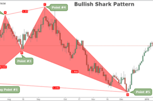 Shark pattern