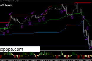 binary options system