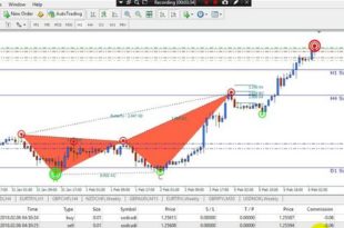 harmonic v2 indicator