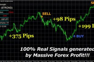 100 buy sell signal indicators mt4