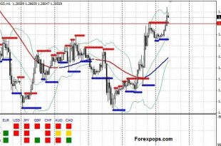 Multi currency Indicator