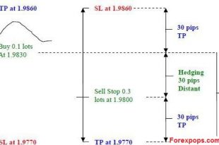no loss forex hedging strategy