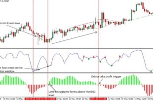 Divergence Trading Entry and Exit PDF