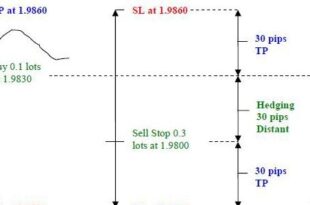 Multi Currency Hedging Strategy