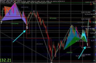 Shepherd Harmonic Pattern