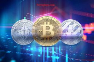 Best Paid Crypto Signals