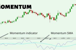 Momentum Indicator Strategy PDF