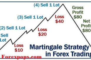 Martingale Trading Strategy
