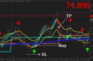 Pips a Day Forex Strategy PDF