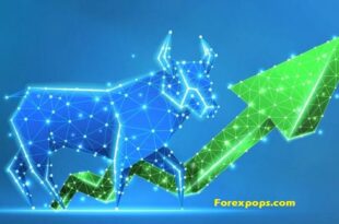 Expensive Stock in The World