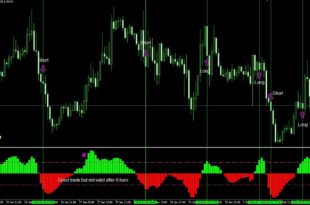 Profitable Indicator Strategy