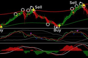 WHAT IS STOCK MARKET
