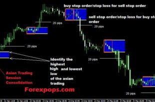 Best Forex Pairs to Trade During the Tokyo Session