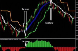 What are Signals in Trading