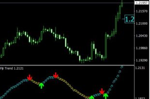 Fiji Trend Indicator
