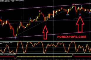 Forex Signal 30 Trading System