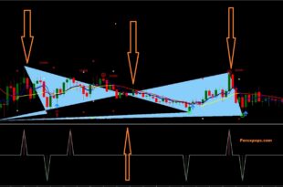 Automatic Double top finder indicator PDF