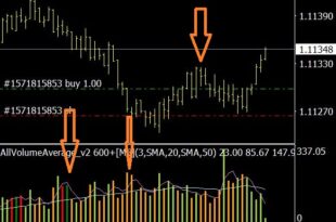 Average Volume Indicator