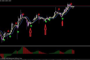 EMA crossover alert Signal Indicator