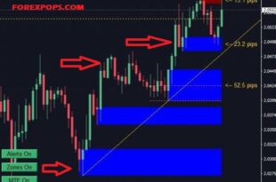 Most Accurate supply and demand indicator