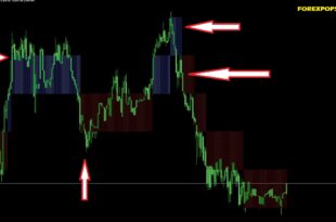 Renko Candles Overlay Indicator
