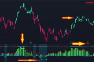 Time Segmented volume script