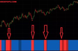 Star IQ option Indicator