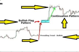 Reversal Patterns