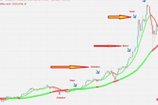wall street cheat sheet