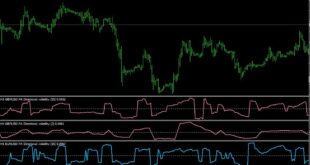 Panic Strategy