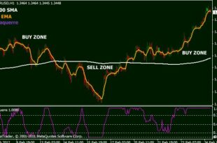 Forex Trading for Dummies forex