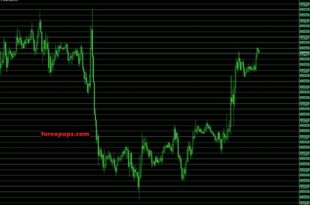 Grid Builder Indicator