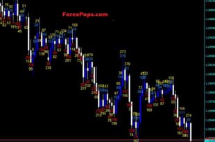 How to use Candle Body Size indicator