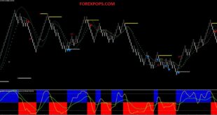 What is a Renko Chart Indicator